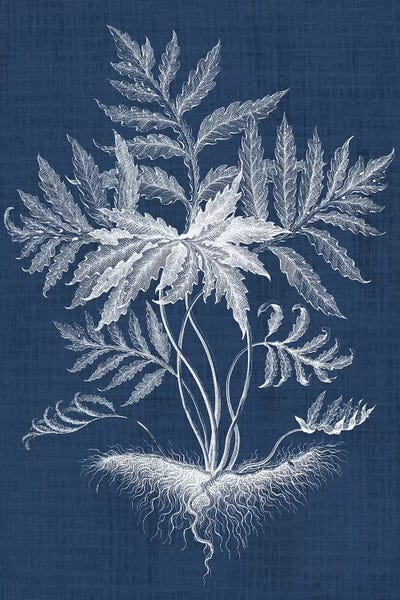 Foliage Chintz IV by Vision Studio metal wall art