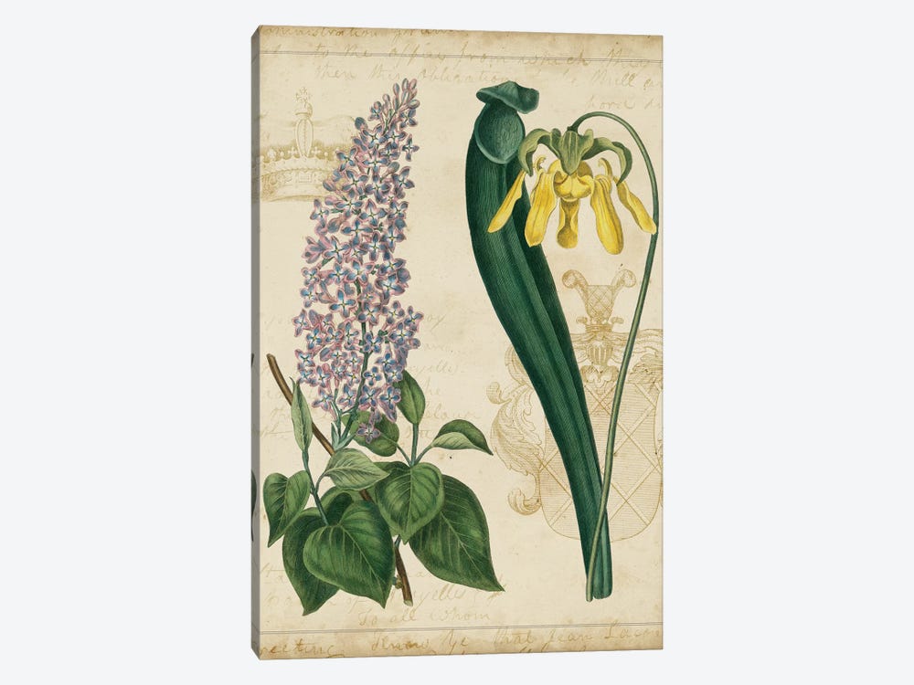Botanical Repertoire IV by Vision Studio 1-piece Art Print
