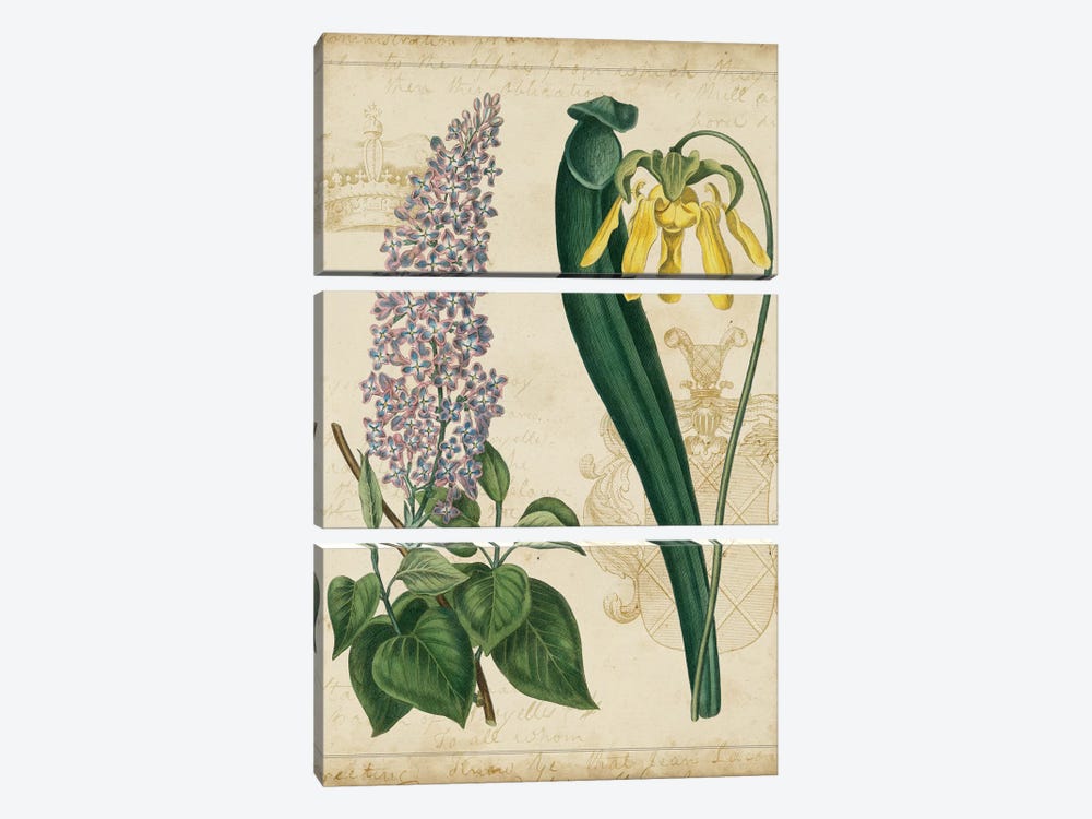 Botanical Repertoire IV 3-piece Art Print