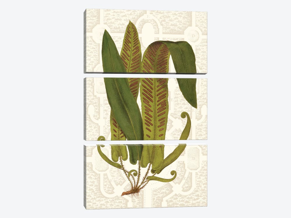 Garden Ferns I by Vision Studio 3-piece Canvas Print