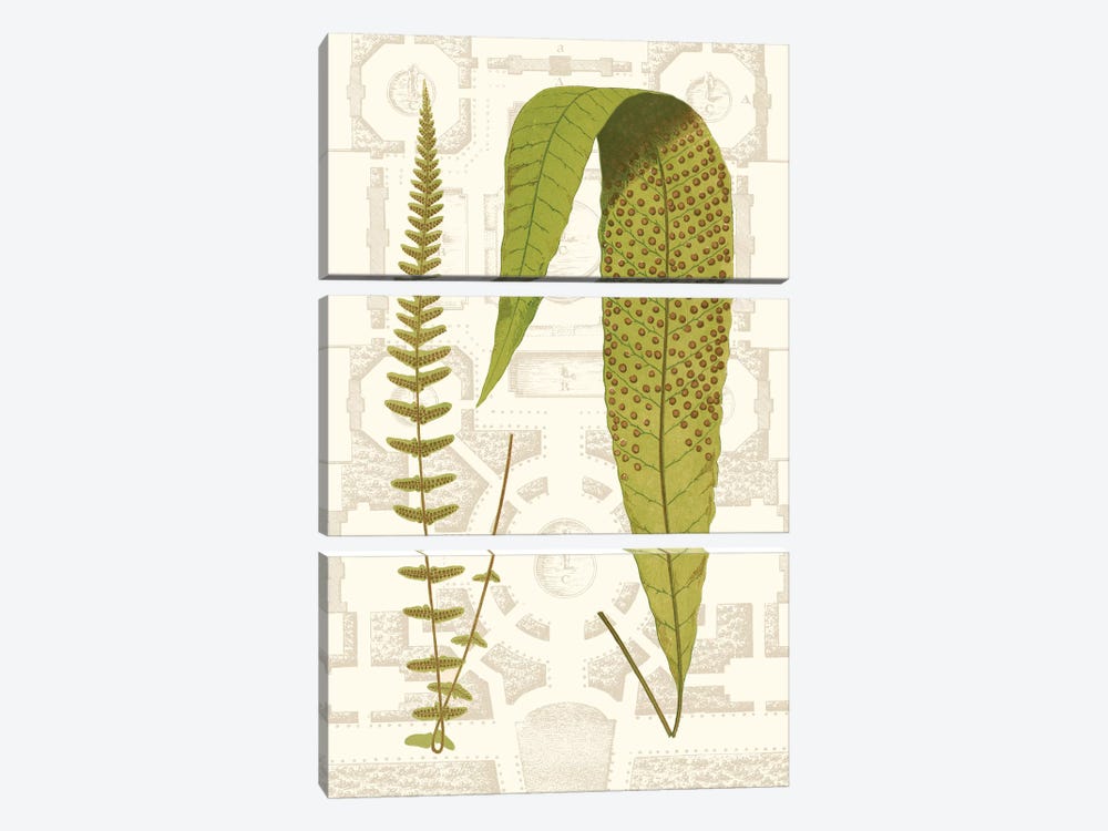 Garden Ferns III by Vision Studio 3-piece Canvas Print