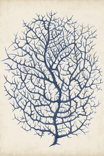 Coral: Indigo Coral I by Vision Studio