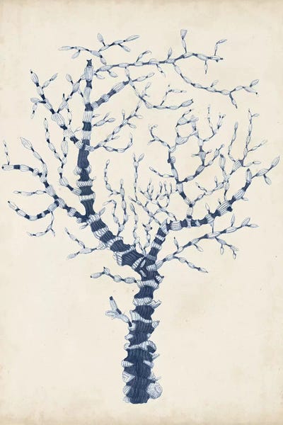 Indigo Coral II by Vision Studio framed canvas print