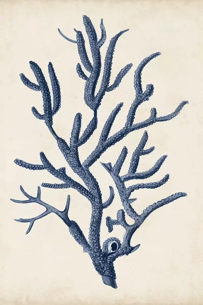 Indigo Coral IV by Vision Studio multi panel art