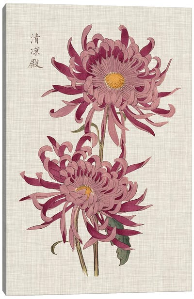 Vibrant Mums II Canvas Art Print - Chrysanthemum Art