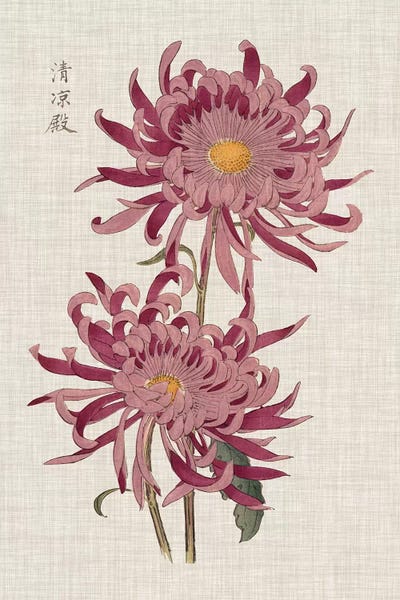 Chrysanthemums: Vibrant Mums II by Vision Studio