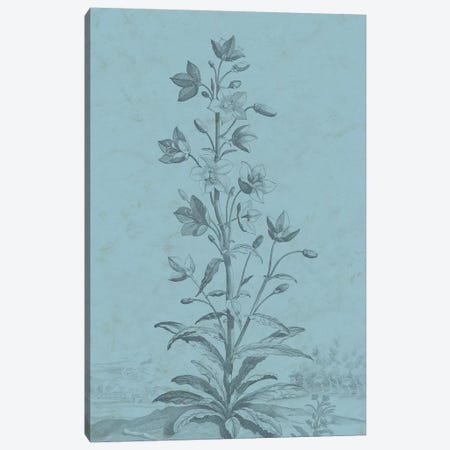 Botanical On Teal II Canvas Print #VSN310} by Vision Studio Canvas Art
