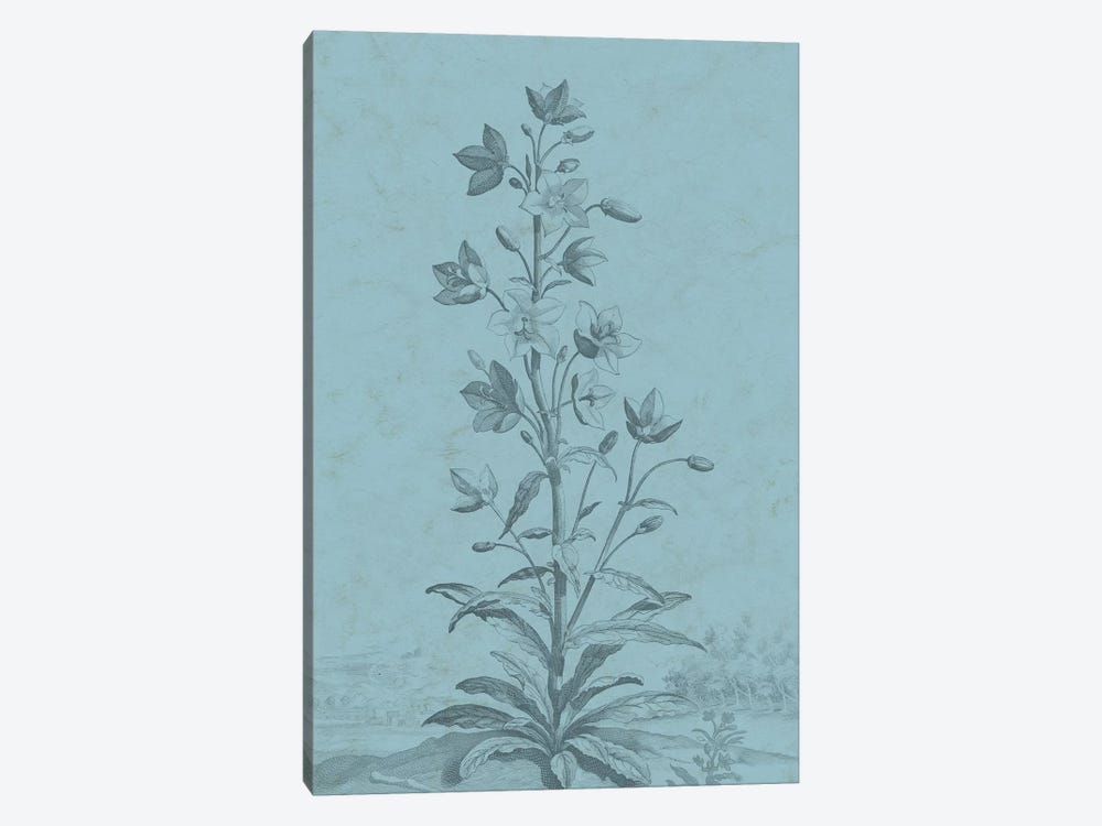 Botanical On Teal II by Vision Studio 1-piece Canvas Artwork