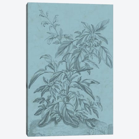 Botanical On Teal III Canvas Print #VSN311} by Vision Studio Canvas Artwork