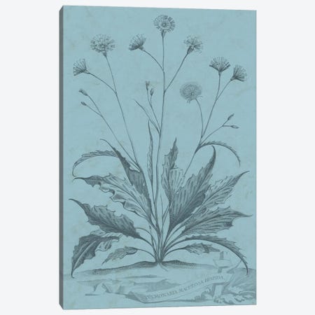 Botanical On Teal IV Canvas Print #VSN312} by Vision Studio Canvas Artwork