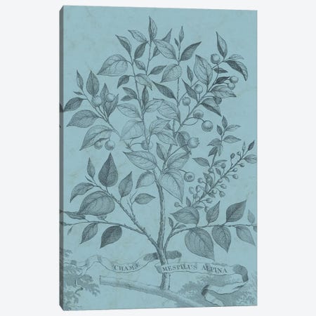 Botanical On Teal V Canvas Print #VSN313} by Vision Studio Canvas Art