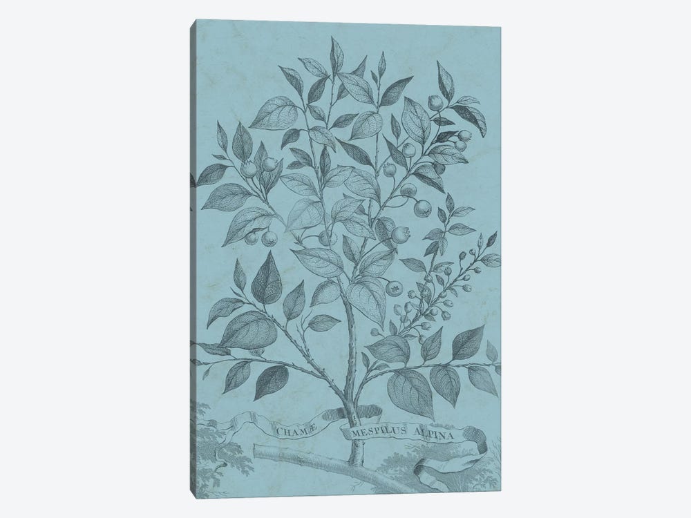 Botanical On Teal V by Vision Studio 1-piece Canvas Print