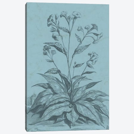 Botanical On Teal VI Canvas Print #VSN314} by Vision Studio Canvas Print