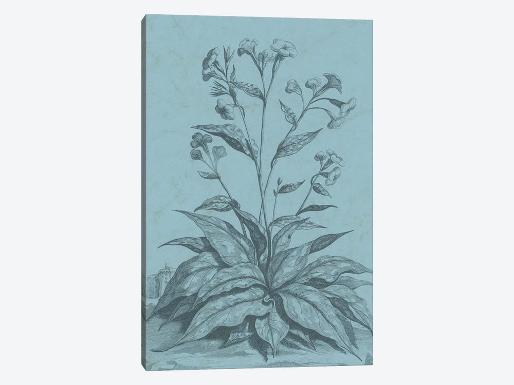 Botanical On Teal VI 1-piece Canvas Artwork