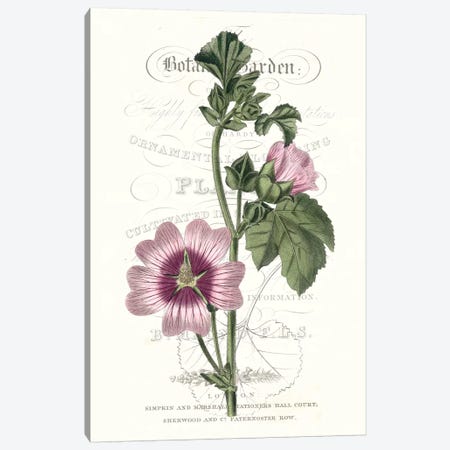 Flower Garden Varietals IV Canvas Print #VSN324} by Vision Studio Canvas Art