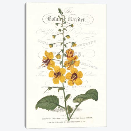 Flower Garden Varietals V Canvas Print #VSN325} by Vision Studio Canvas Art