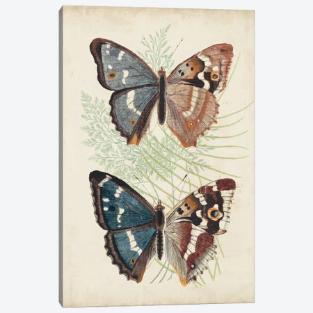 Butterflies & Ferns IV Canvas Print #VSN389} by Vision Studio Canvas Art Print