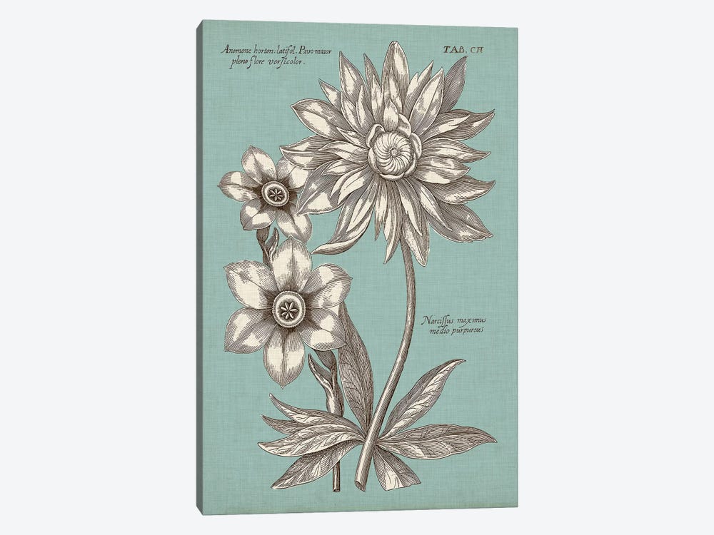 Chambray Chintz I by Vision Studio 1-piece Canvas Wall Art