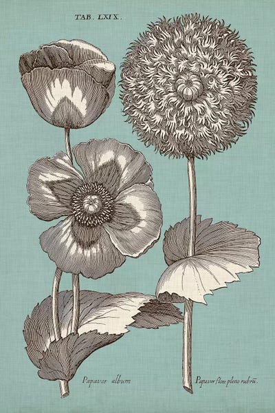Chambray Chintz III by Vision Studio metal wall art