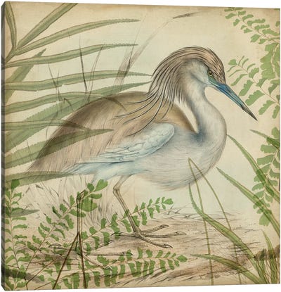 Heron & Ferns II Canvas Art Print