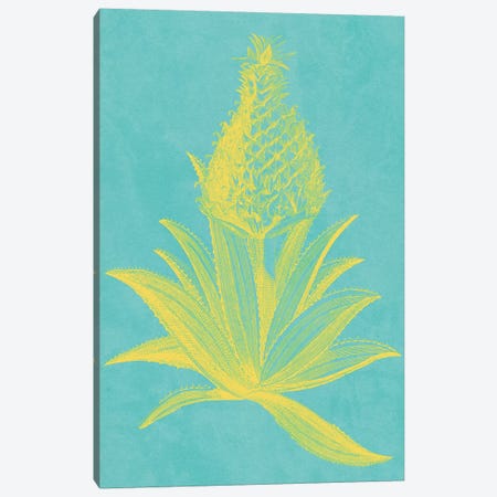 Pineapple Frais I Canvas Print #VSN403} by Vision Studio Canvas Art
