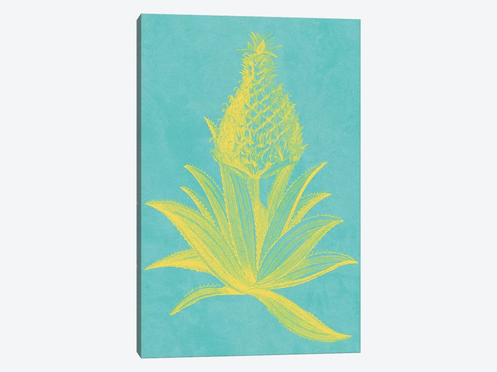 Pineapple Frais I 1-piece Canvas Art Print