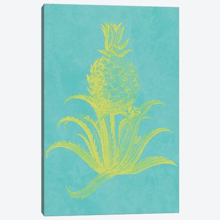 Pineapple Frais II Canvas Print #VSN404} by Vision Studio Canvas Print
