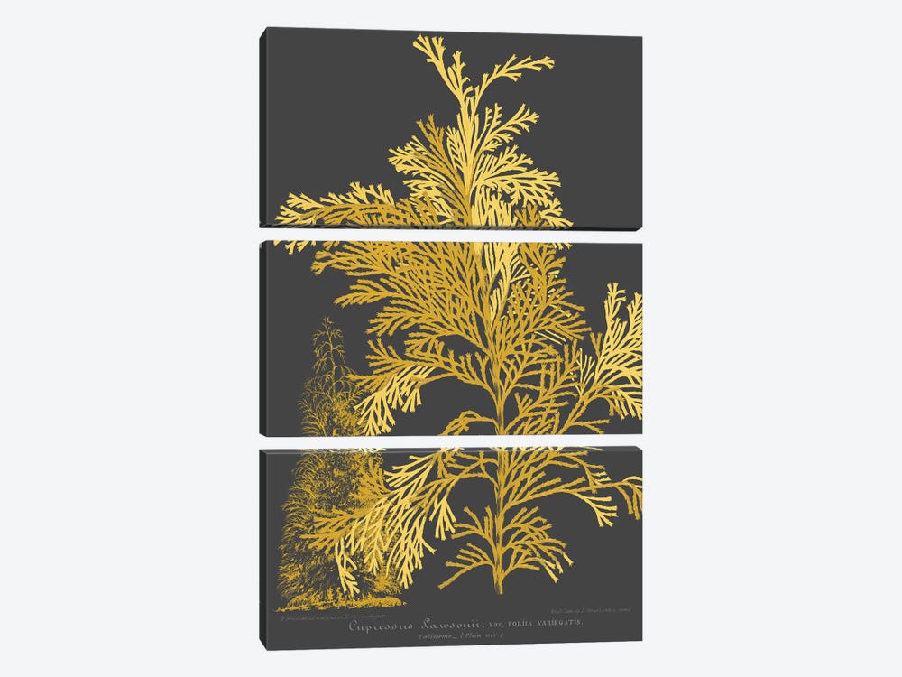 Trees & Leaves I by Vision Studio 3-piece Canvas Art Print