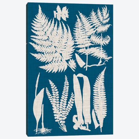 Linen & Blue Ferns I Canvas Print #VSN485} by Vision Studio Canvas Print
