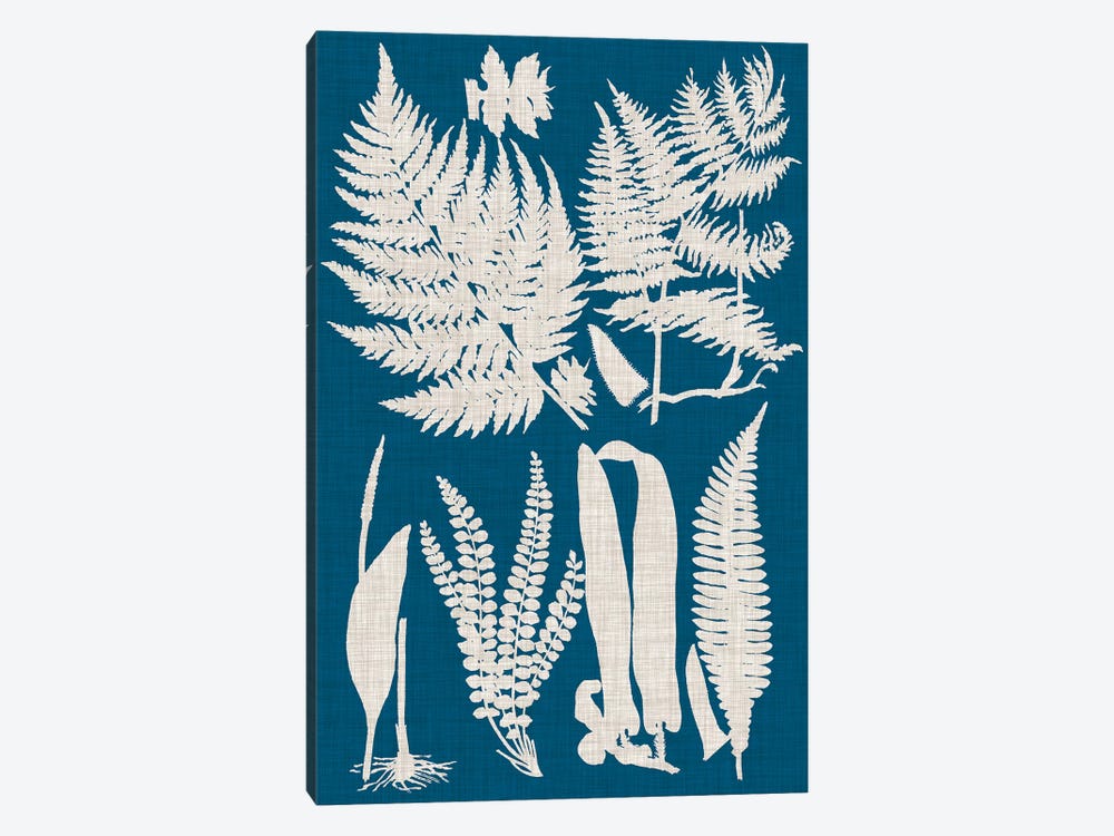 Linen & Blue Ferns I by Vision Studio 1-piece Canvas Print