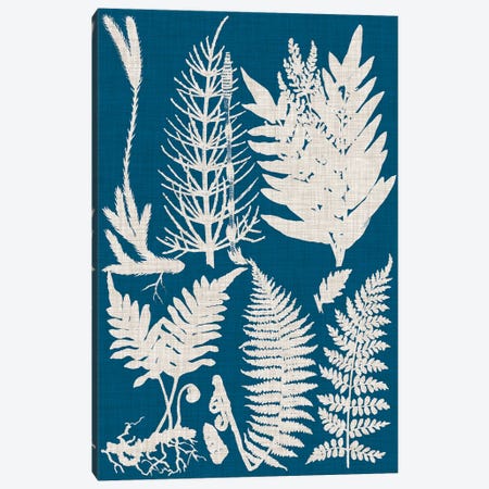 Linen & Blue Ferns II Canvas Print #VSN486} by Vision Studio Art Print