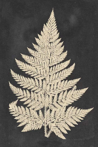 Japandi: Linen Fern I by Vision Studio