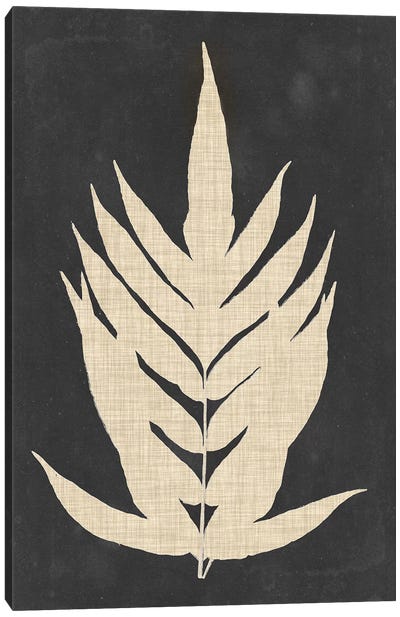 Linen Fern II Canvas Art Print - Ferns