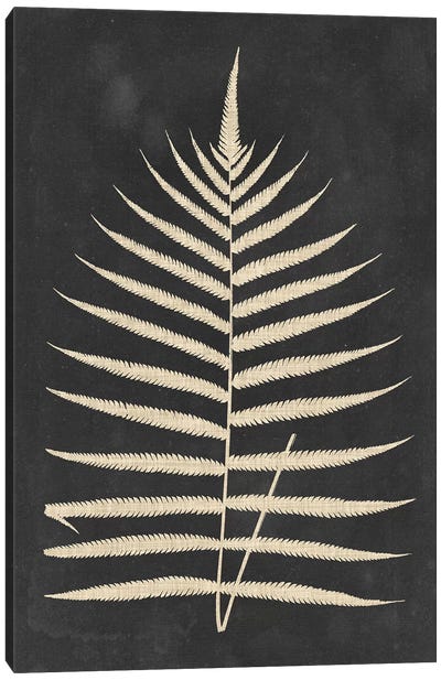 Linen Fern III Canvas Art Print - Japandi