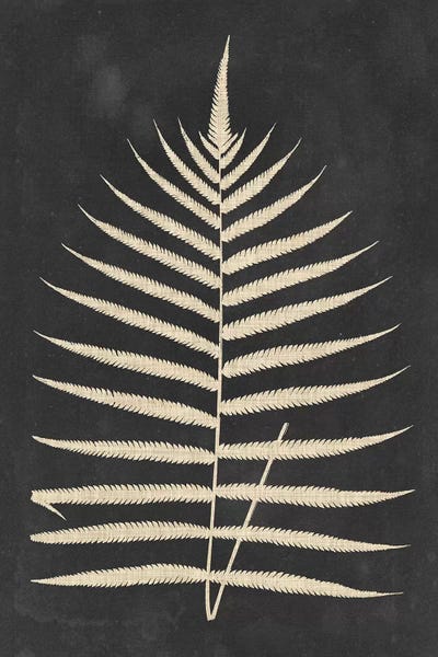 Japandi: Linen Fern III by Vision Studio