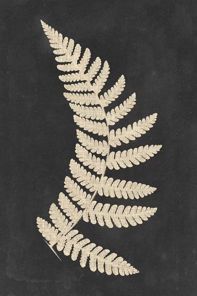 Japandi: Linen Fern IV by Vision Studio