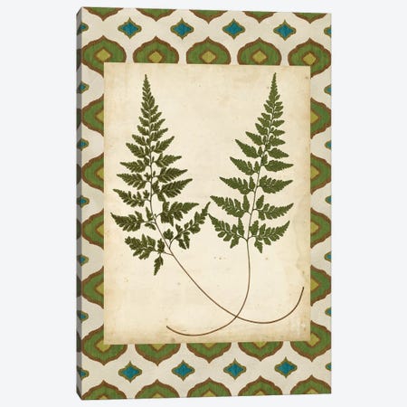 Moroccan Ferns I Canvas Print #VSN523} by Vision Studio Canvas Art Print