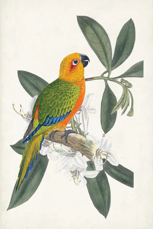 Tropical Bird & Flower I