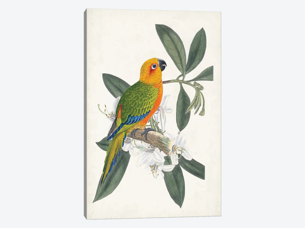 Tropical Bird & Flower I by Vision Studio 1-piece Canvas Art Print