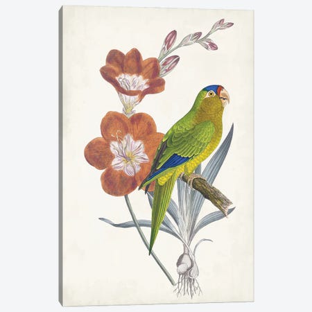 Tropical Bird & Flower III Canvas Print #VSN682} by Vision Studio Canvas Artwork