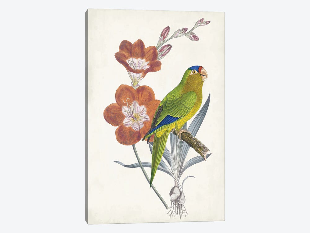 Tropical Bird & Flower III by Vision Studio 1-piece Canvas Art Print