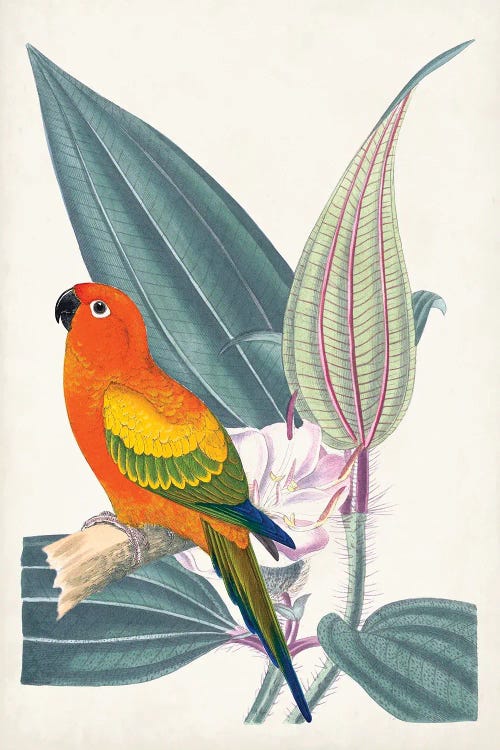 Tropical Bird & Flower IV