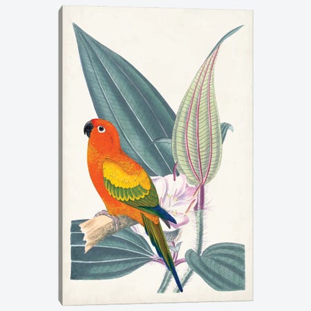 Tropical Bird & Flower IV Canvas Print #VSN683} by Vision Studio Canvas Art