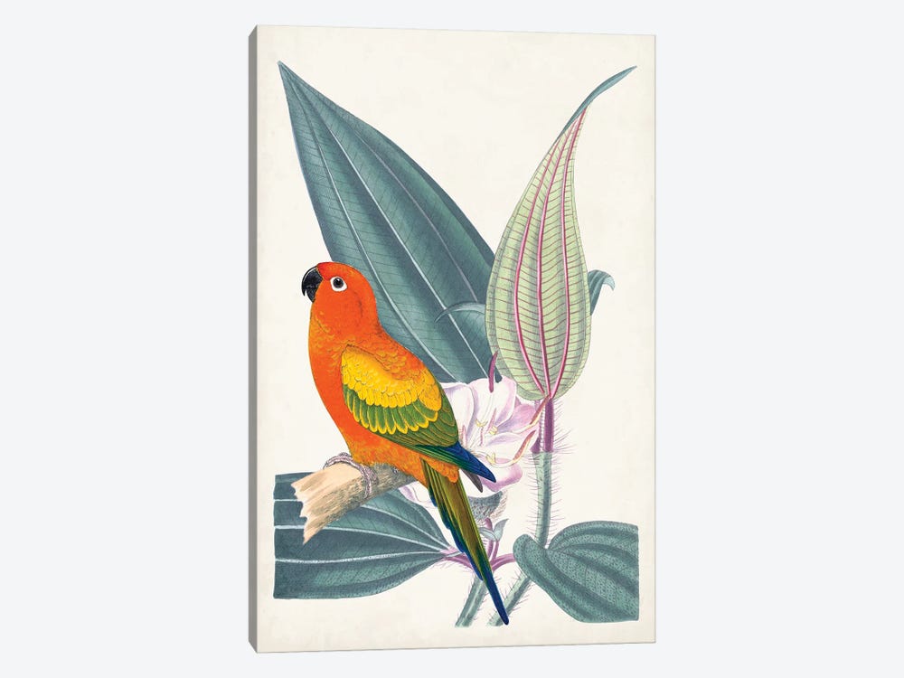 Tropical Bird & Flower IV by Vision Studio 1-piece Canvas Art