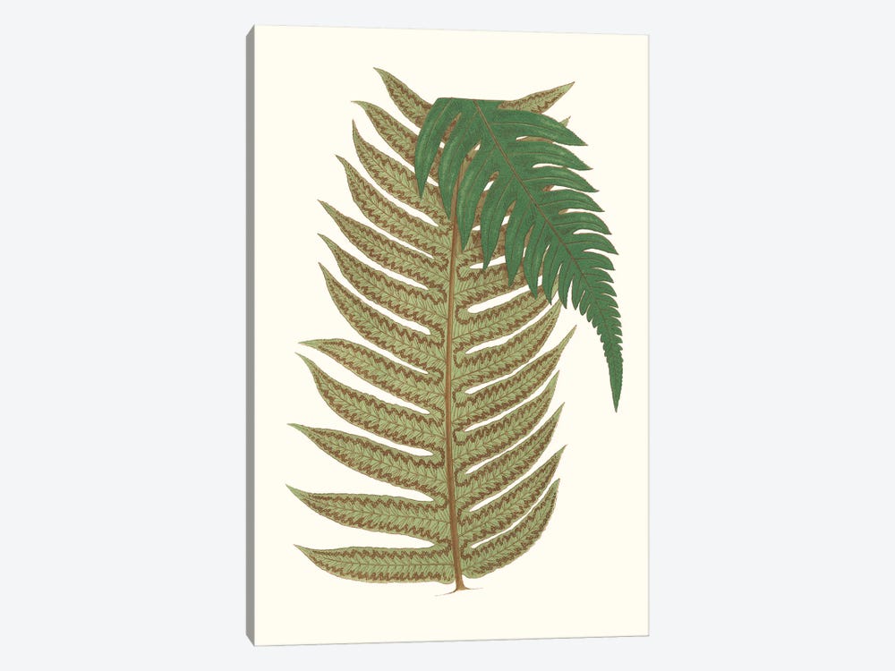 Collected Leaves II by Vision Studio 1-piece Canvas Print