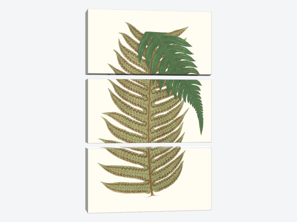 Collected Leaves II by Vision Studio 3-piece Canvas Print