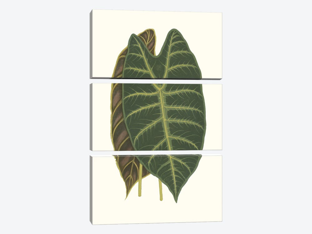 Collected Leaves V by Vision Studio 3-piece Canvas Art