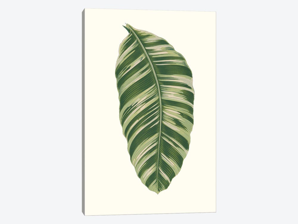 Collected Leaves XI by Vision Studio 1-piece Canvas Wall Art