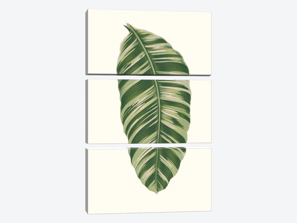 Collected Leaves XI by Vision Studio 3-piece Canvas Artwork