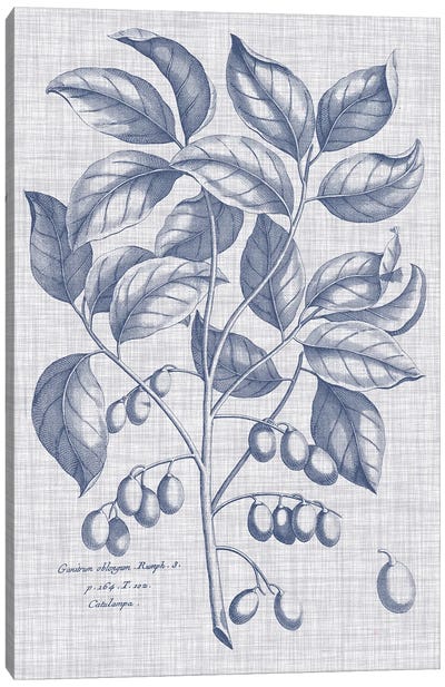 Navy & Linen Botanical II Canvas Art Print - Vision Studio